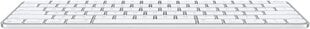 Клавиатура Apple цена и информация | Клавиатуры | pigu.lt