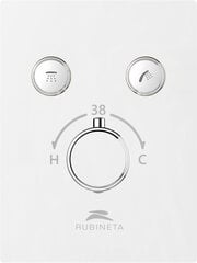 Смеситель скрытого монтажа RUBINETA Thermo-2F цена и информация | Смесители | pigu.lt