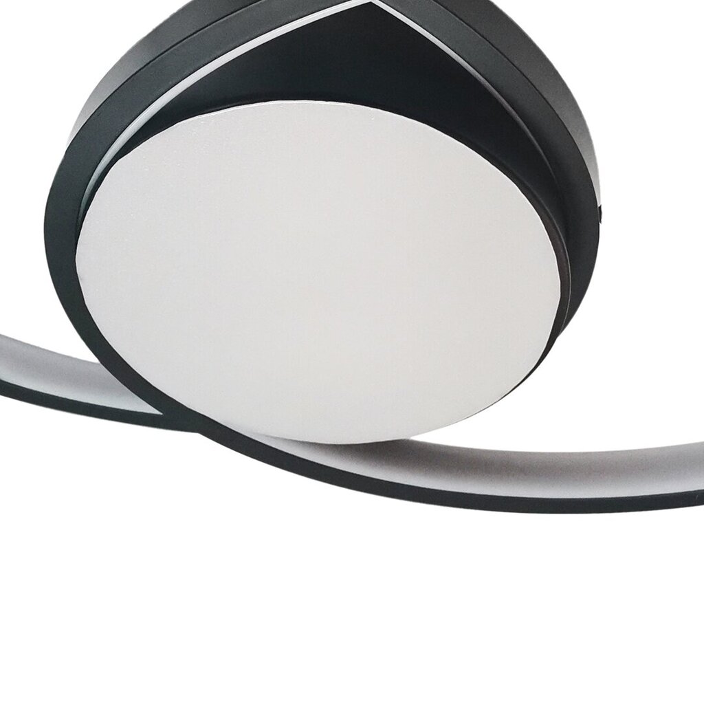 Milagro lubinis šviestuvas Focus kaina ir informacija | Lubiniai šviestuvai | pigu.lt