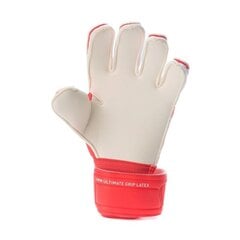 Перчатки вратаря Puma Ultra Grip 1 RC M 041787-01 цена и информация | Перчатки вратаря | pigu.lt