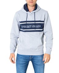 ДЖЕМПЕР TOMMY HILFIGER DM0DM15206 цена и информация | Мужские толстовки | pigu.lt