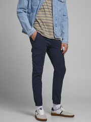 Джинсы мужские JACK & JONES 12169582*32, тёмно-синие 5714508241142 цена и информация | Мужские джинсы | pigu.lt