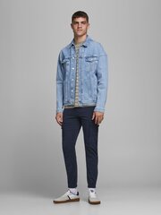 Джинсы мужские JACK & JONES 12169582*32, тёмно-синие 5714508241142 цена и информация | Мужские джинсы | pigu.lt