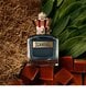 Tualetinis vanduo Jean Paul Gaultier Scandal For Him EDT 100 ml kaina ir informacija | Kvepalai vyrams | pigu.lt