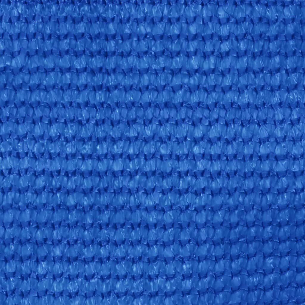 Palapinės kilimėlis, 250x500 cm, mėlynas kaina ir informacija | Turistiniai čiužiniai ir kilimėliai | pigu.lt