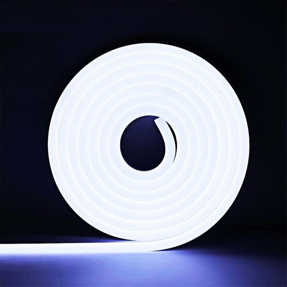 Neoninės LED juostos 12V 5m 6000K 8W/m komplektas su maitinimo šaltiniu цена и информация | LED juostos | pigu.lt