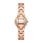 Moteriškas laikrodis Michael Kors MK1039SET цена и информация | Moteriški laikrodžiai | pigu.lt