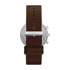 Laikrodis Skagen SKW6765 SKW6765 kaina ir informacija | Moteriški laikrodžiai | pigu.lt