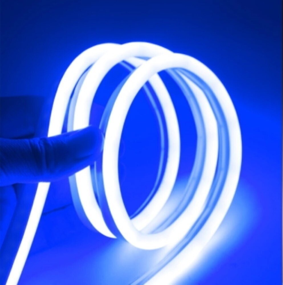 Neoninės LED juostos raudonas 12V 5m 8W/m komplektas su maitinimo šaltiniu kaina ir informacija | LED juostos | pigu.lt
