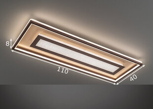 Fischer&Honsel LED lubinis šviestuvas Bug kaina ir informacija | Lubiniai šviestuvai | pigu.lt