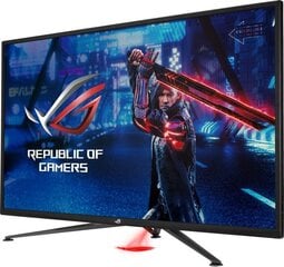 Asus 90LM0590-B02170 kaina ir informacija | Monitoriai | pigu.lt