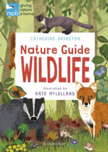 RSPB Nature Guide: Wildlife цена и информация | Enciklopedijos ir žinynai | pigu.lt