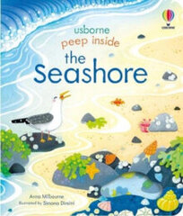 Peep Inside the Seashore kaina ir informacija | Enciklopedijos ir žinynai | pigu.lt