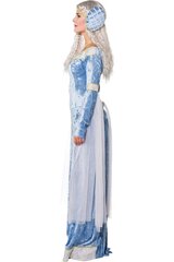Костюм Снежной королевы цена и информация | Карнавальные костюмы | pigu.lt