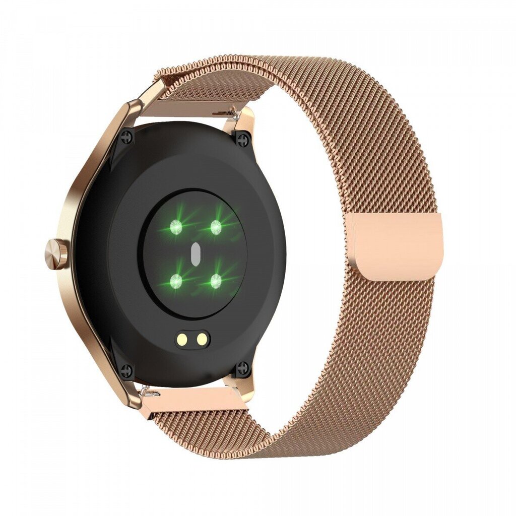 MaxCom Fit FW43, Gold/Brown цена и информация | Išmanieji laikrodžiai (smartwatch) | pigu.lt