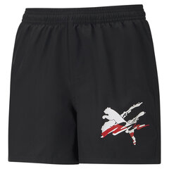 Повседневные шорты для детей Puma ESS Summer Shorts Graphic B Puma - 58697901 58697901.98 цена и информация | Шорты для мальчиков | pigu.lt