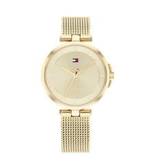 Moteriškas laikrodis Tommy Hilfiger TH1782362 цена и информация | Женские часы | pigu.lt