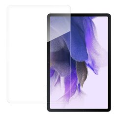 Закаленное стекло 9H для Samsung Galaxy Tab S7 FE цена и информация | Аксессуары для планшетов, электронных книг | pigu.lt