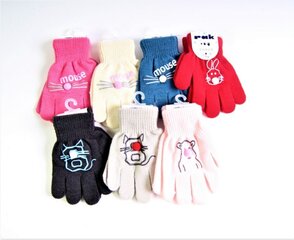 Детские перчатки цена и информация | Зимняя одежда для детей | pigu.lt