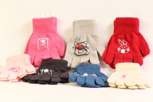 Детские перчатки цена и информация | Зимняя одежда для детей | pigu.lt