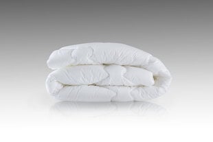 Одеяло Wendre Classic, 200х220 см цена и информация | Одеяла | pigu.lt