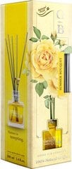 GARDEN BOTANICA - SUMMER 100ml. Тростниковые палочки из натуральных эссенций цена и информация | Ароматы для дома | pigu.lt