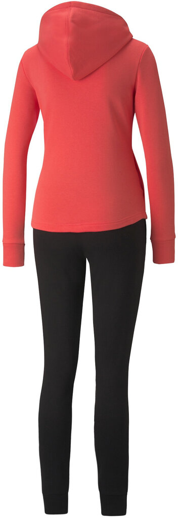 Sportinis kostiumas moterims Puma Classic Hooded 589132 35, rožinis kaina ir informacija | Sportinė apranga moterims | pigu.lt