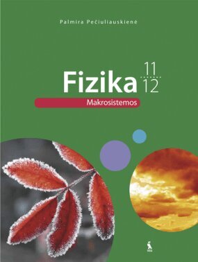 Fizika. XI–XII kl.. Makrosistemos kaina ir informacija | Vadovėliai | pigu.lt