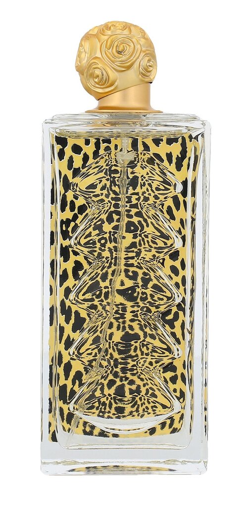 Tualetinis vanduo Salvador Dali Dali Wild EDT moterims 100 ml цена и информация | Kvepalai moterims | pigu.lt