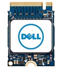 Dell AB292881 цена и информация | Внутренние жёсткие диски (HDD, SSD, Hybrid) | pigu.lt