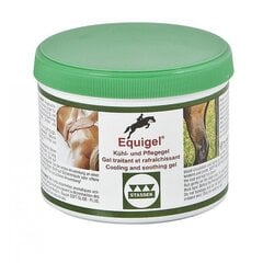 Vėsinantis gelis Equigel® Stassek, 500 ml kaina ir informacija | Balzamai, tepalai | pigu.lt