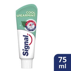 Dantų pasta Signal Cool Spearmint, 75 ml kaina ir informacija | Dantų šepetėliai, pastos | pigu.lt