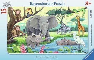 Dėlionė afrikos gyvūnai Ravensburger, 15 det. kaina ir informacija | Dėlionės (puzzle) | pigu.lt