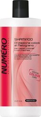 Spalvą apsaugantis šampūnas su granatais Brelil Numero Color Protection, 1000 ml kaina ir informacija | Šampūnai | pigu.lt