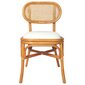 Valgomojo kėdės, 6 vnt, rudos kaina ir informacija | Virtuvės ir valgomojo kėdės | pigu.lt