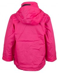 Детская весенне-осенняя куртка Helly Hansen Duro 43154-146-176 цена и информация | Куртка для мальчика | pigu.lt