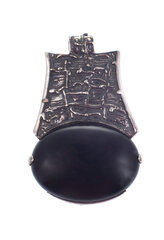 Vienetinis sidabrinis pakabukas su juodu oniksu kaina ir informacija | Kaklo papuošalai | pigu.lt