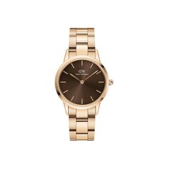 Moteriškas laikrodis Daniel Wellington DW00100462 kaina ir informacija | Moteriški laikrodžiai | pigu.lt