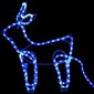 Kalėdinė lauko dekoracija elniai ir rogės, 576 LED lemputės kaina ir informacija | Kalėdinės dekoracijos | pigu.lt