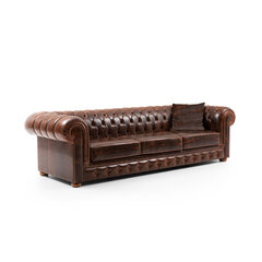 4 vietų sofa Cupon - Brown цена и информация | Диваны | pigu.lt