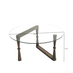 Кофейный столик Kalune Design Cam Orta 3, коричневый цена и информация | Журнальные столы | pigu.lt