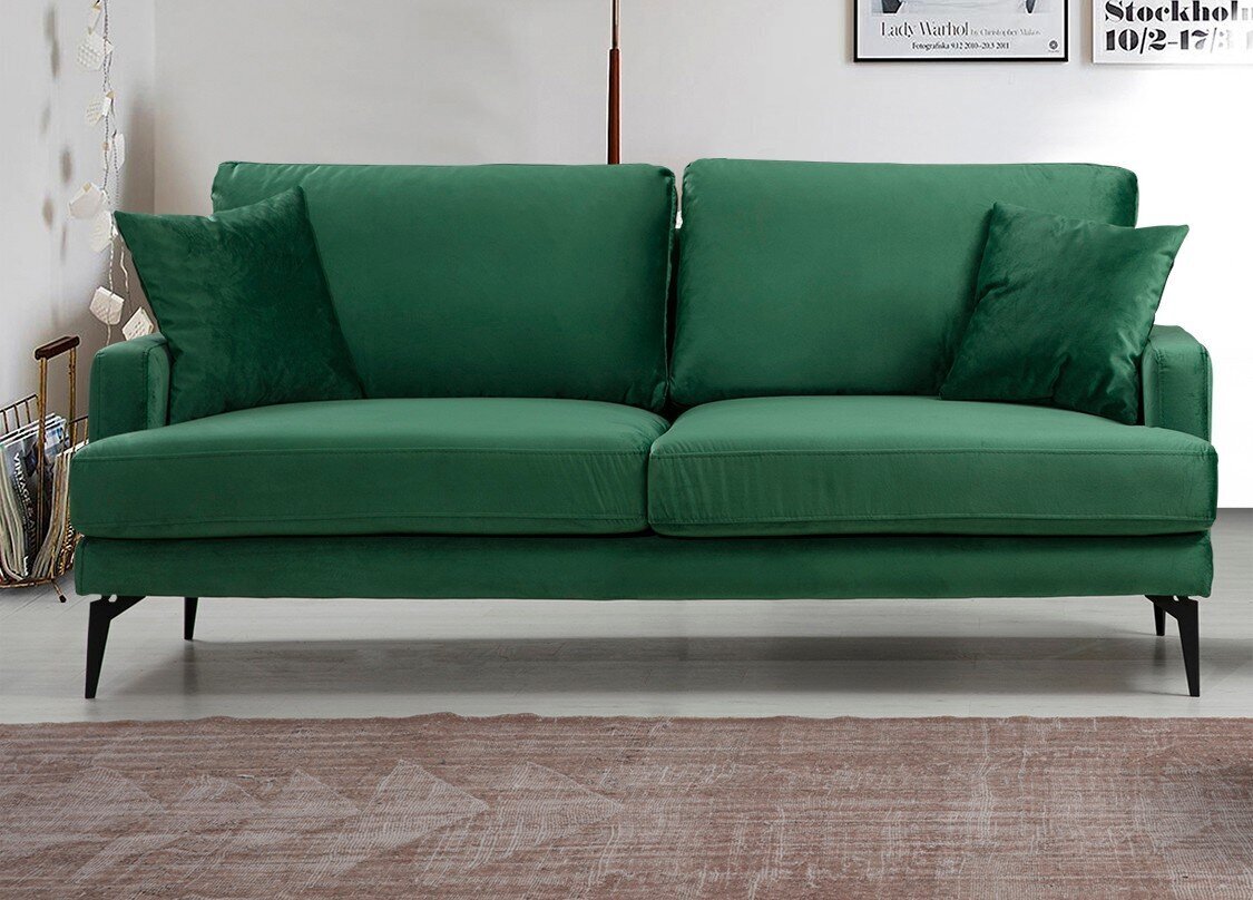 Dvivietė sofa Kalune Design Papira, žalia цена и информация | Sofos | pigu.lt