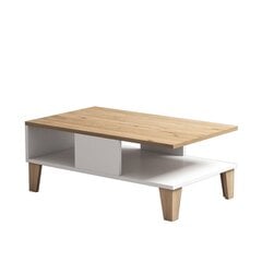 Кофейный столик Kalune Design Sumer O2040, коричневый/белый цена и информация | Журнальные столики | pigu.lt