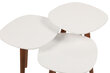 3-jų staliukų komplektas Kalune Design Nadva, baltas/rudas цена и информация | Kavos staliukai | pigu.lt