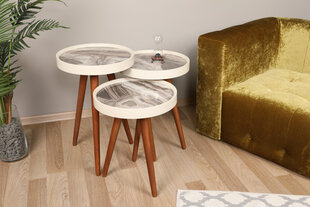 3-jų staliukų komplektas Kalune Design Neep, rudas/pilkas kaina ir informacija | Kavos staliukai | pigu.lt