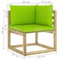 Kampinė sodo sofa su pagalvėlėmis, žalia kaina ir informacija | Lauko kėdės, foteliai, pufai | pigu.lt