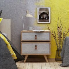 Tип B. Ночной шкаф Kalune Design Olenj, коричневый цена и информация | Прикроватные тумбочки | pigu.lt