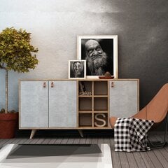 Комод Kalune Design Prilika, серый/коричневый цена и информация | Комоды | pigu.lt