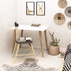 Письменный стол Kalune Design Lery, белый/коричневый цена и информация | Компьютерные, письменные столы | pigu.lt