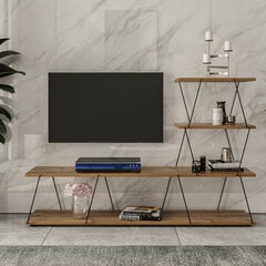 ТВ столик Kalune Design Ilgaz, коричневый цена и информация | Тумбы под телевизор | pigu.lt